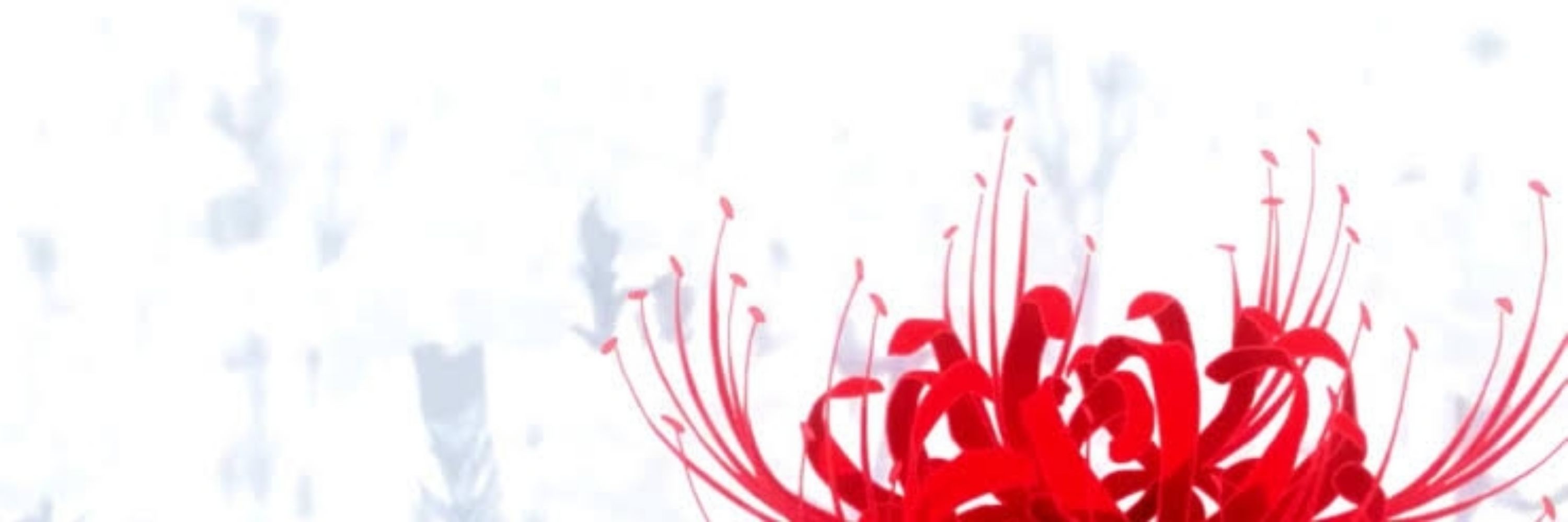๋๋࣭࣭ 𓏲 ᴀᴄɪᴅᴢ ✪