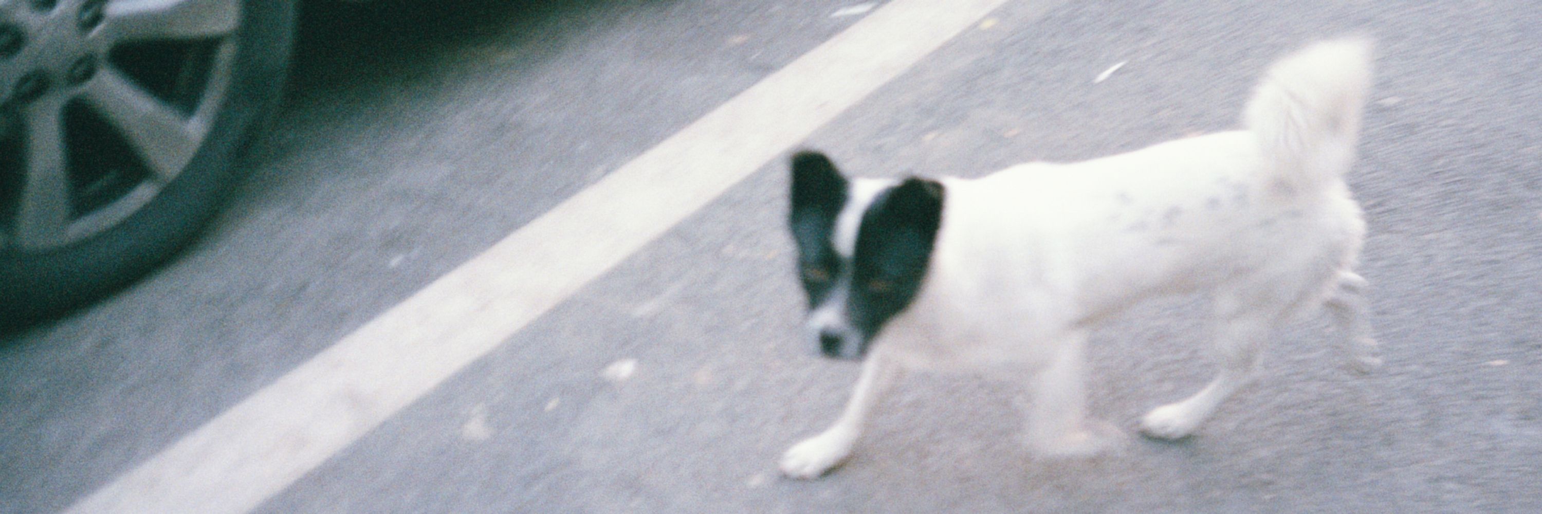 ume