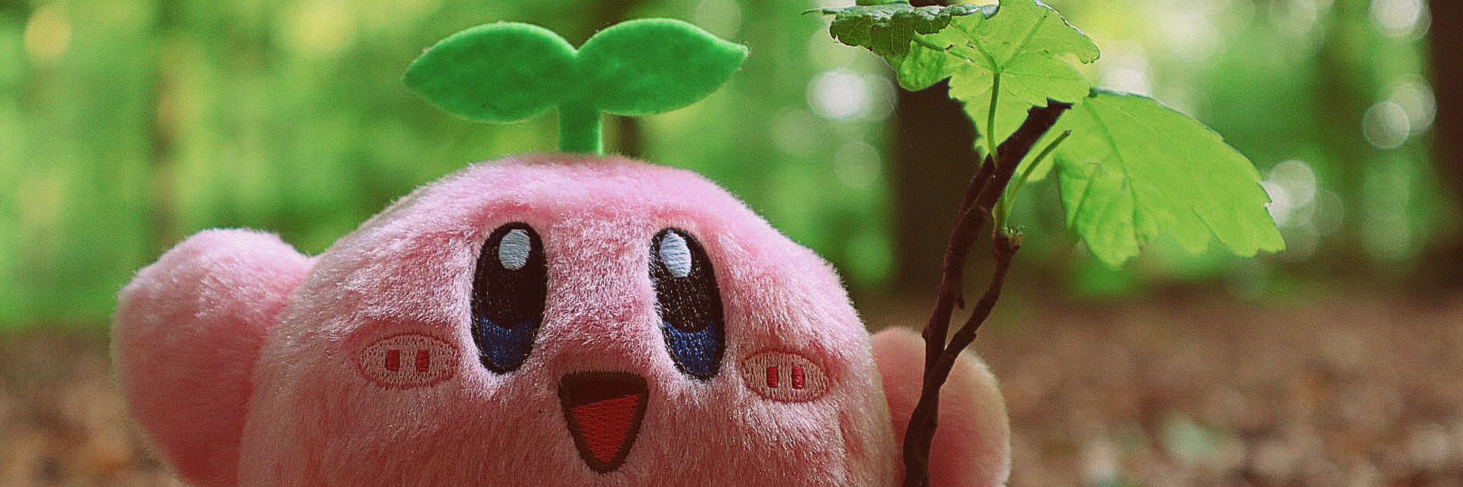 Poyo 🌱