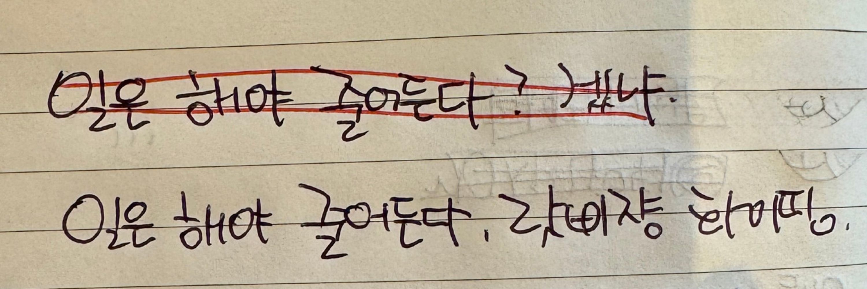 랏삐다시마✨