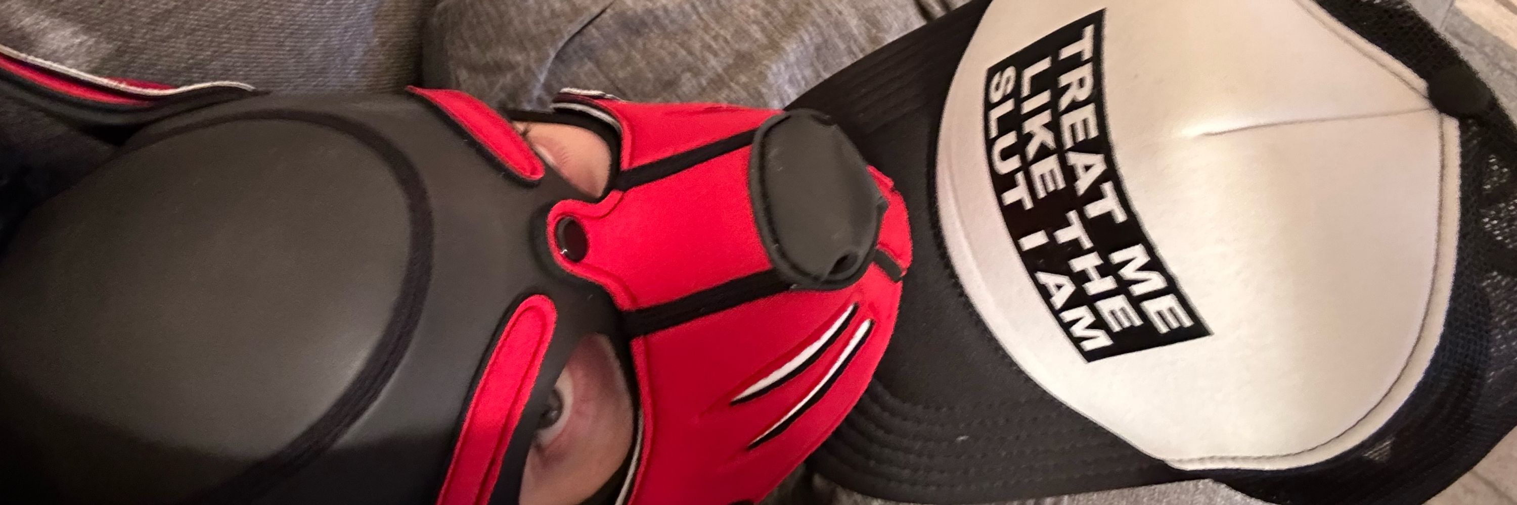 Pup Joystick
