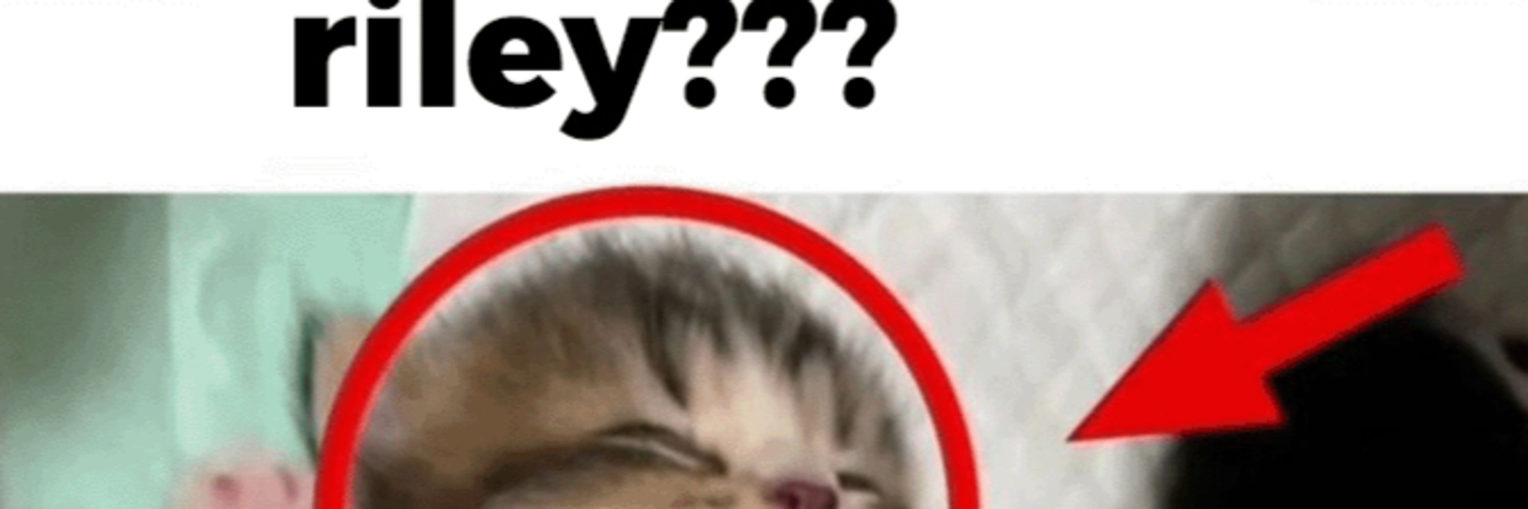 Eepy 🔞
