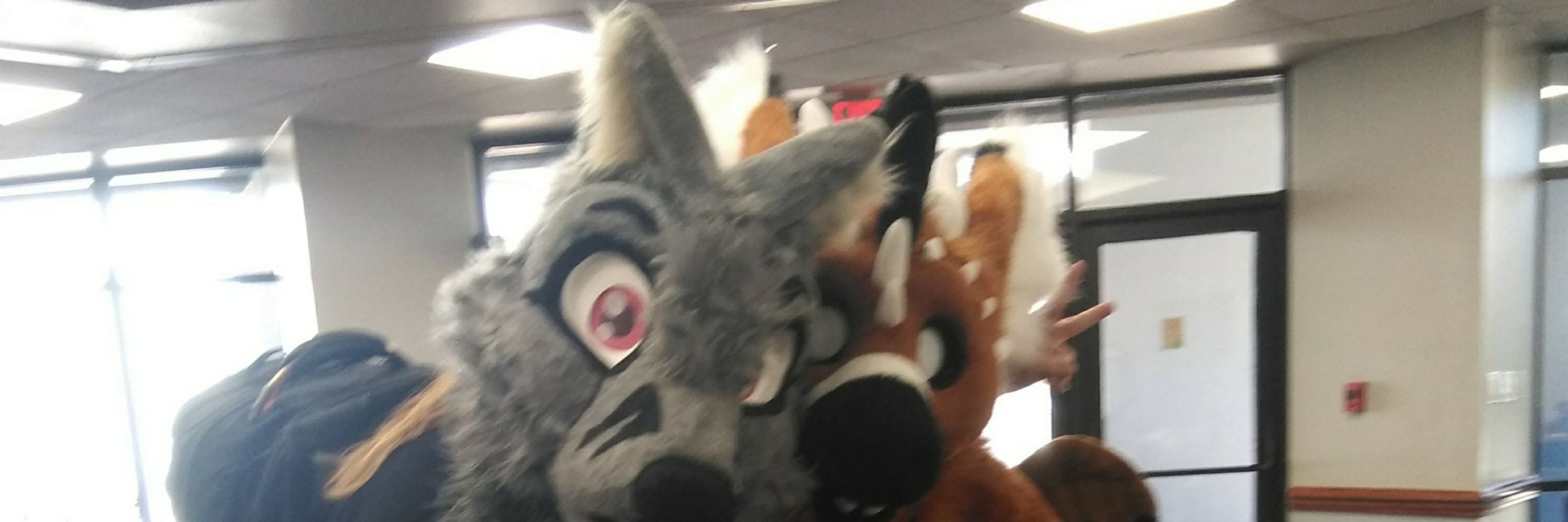 Freya da folf(fox wolf)
