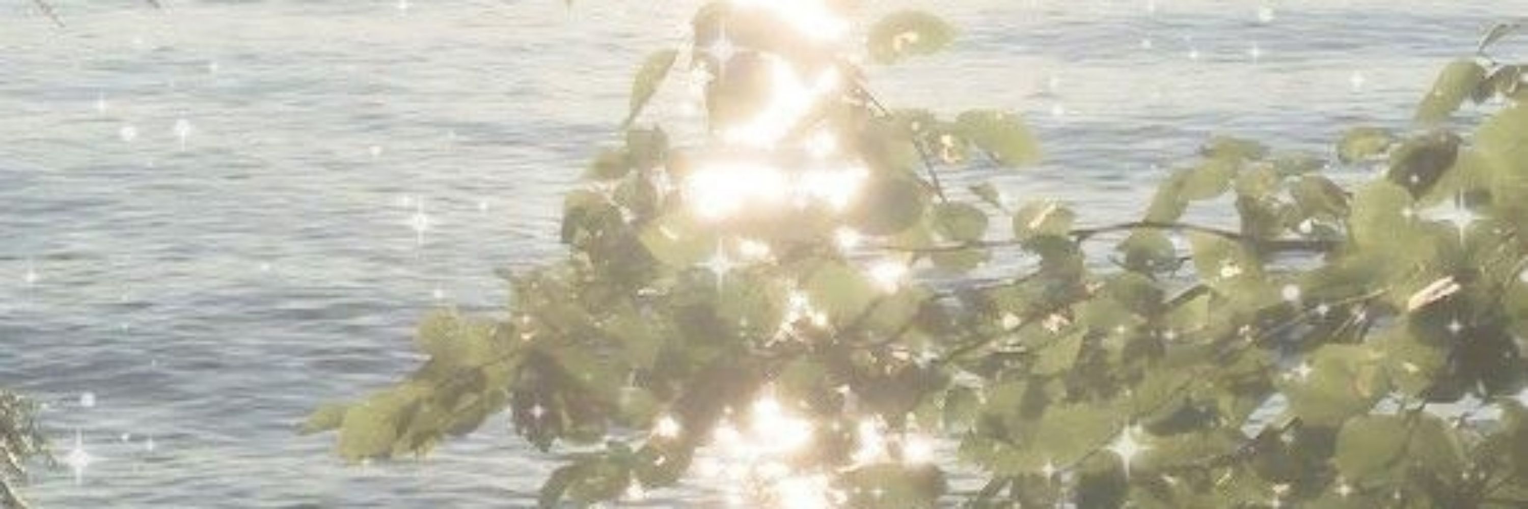 (ᓀ‸ᓂ)¹²⁷