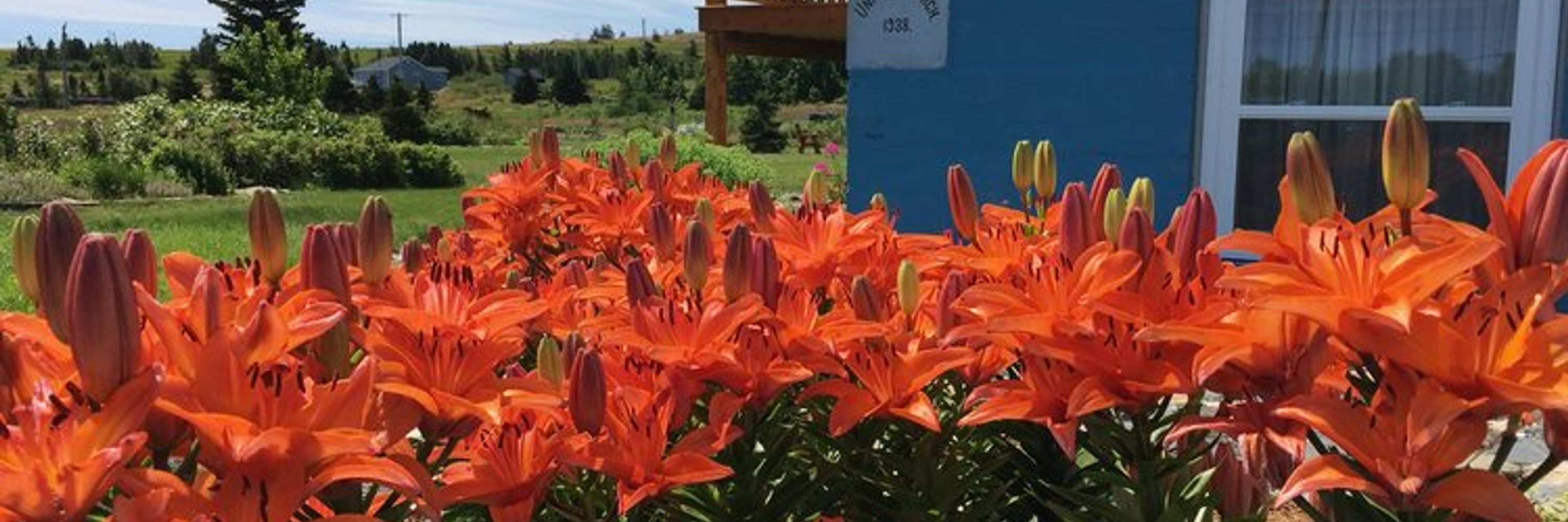 Ochre Fest