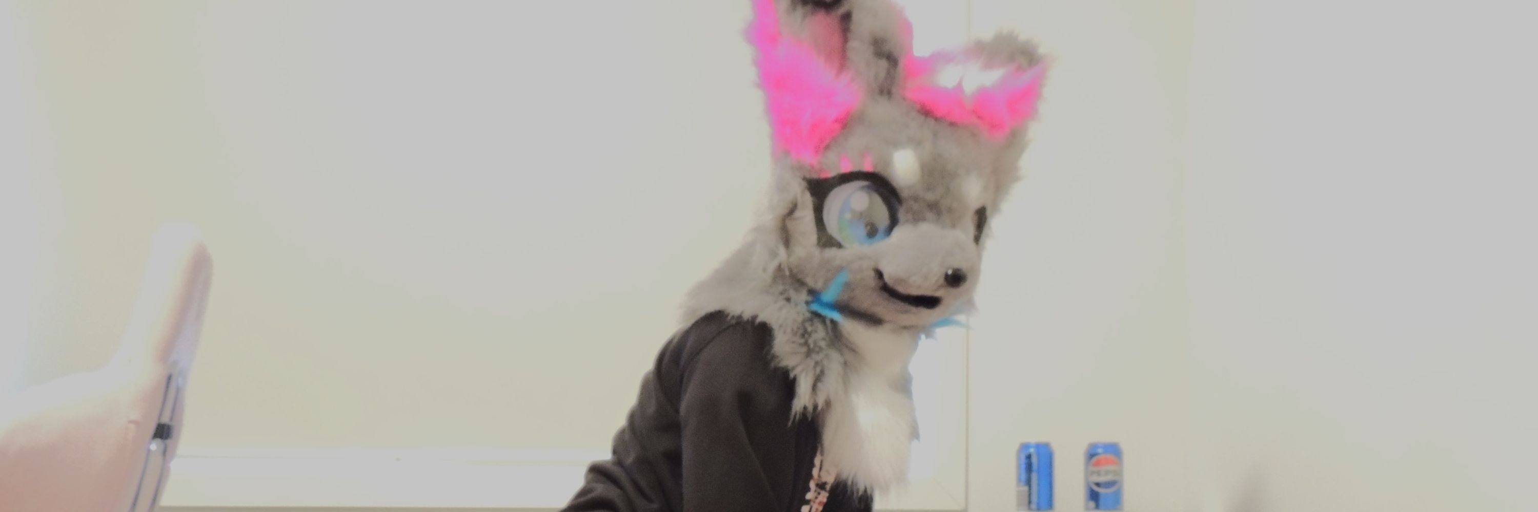 SnoweyFoxy