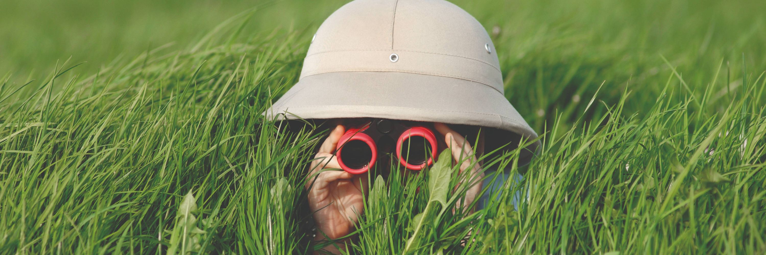 OeAD Citizen Science 