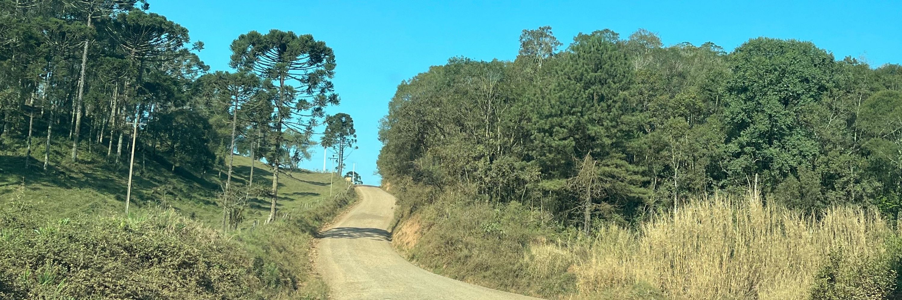 Fala mansa 