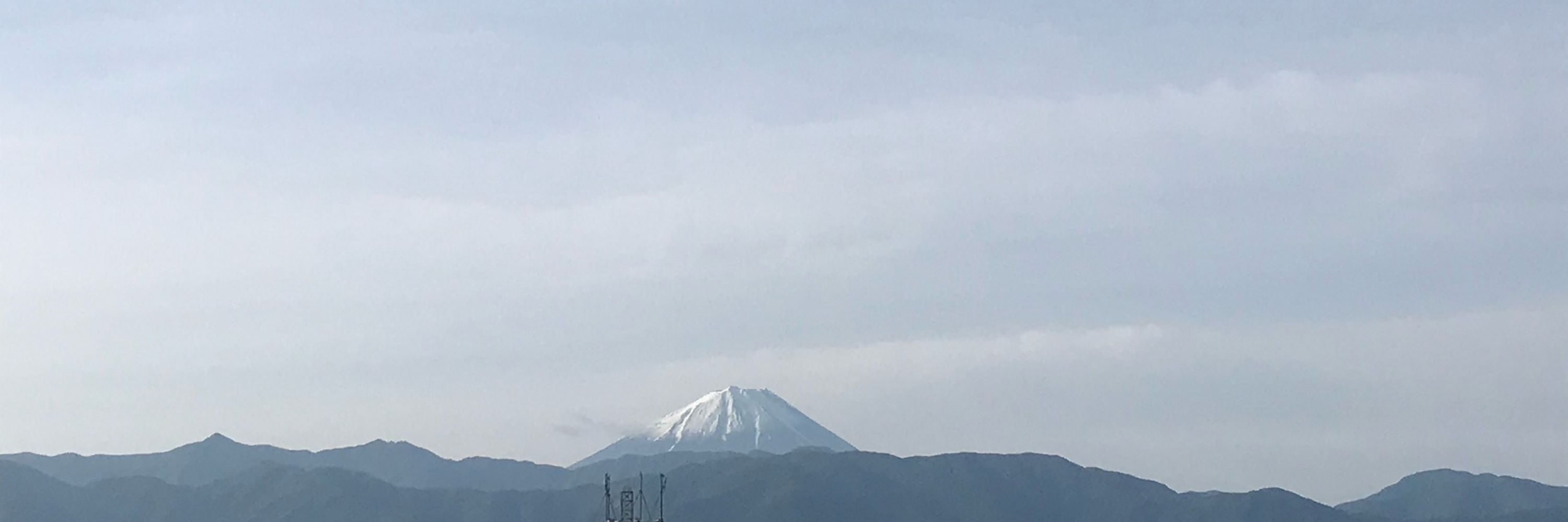 鮭