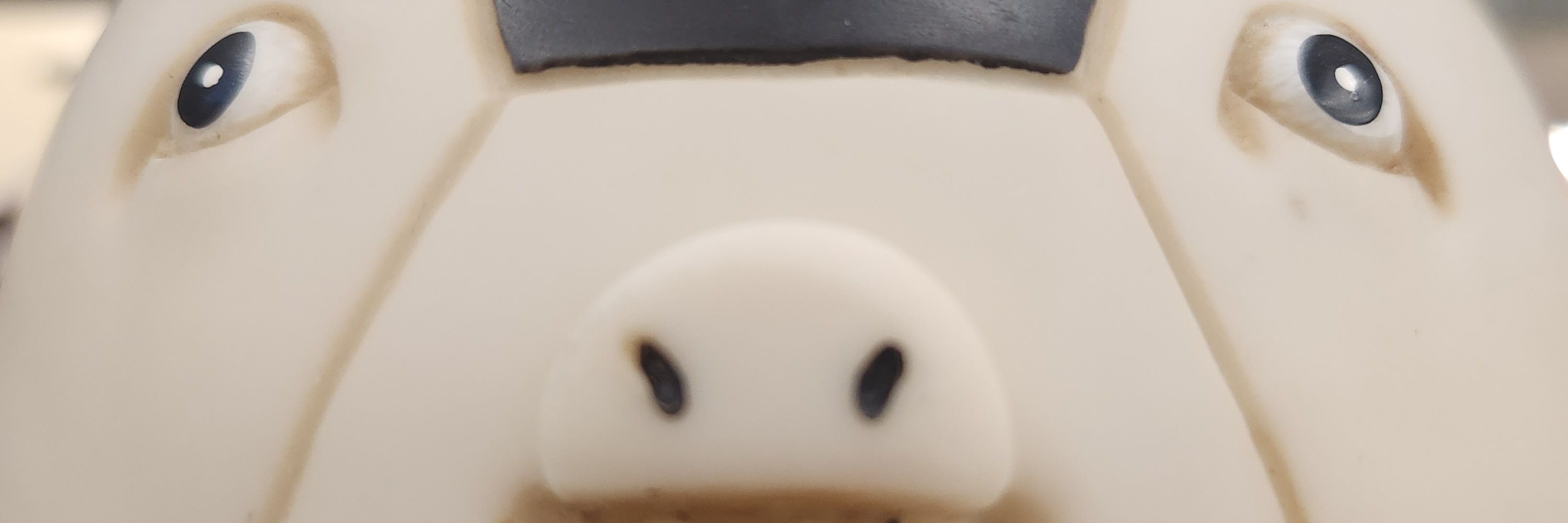 Hide Karklin