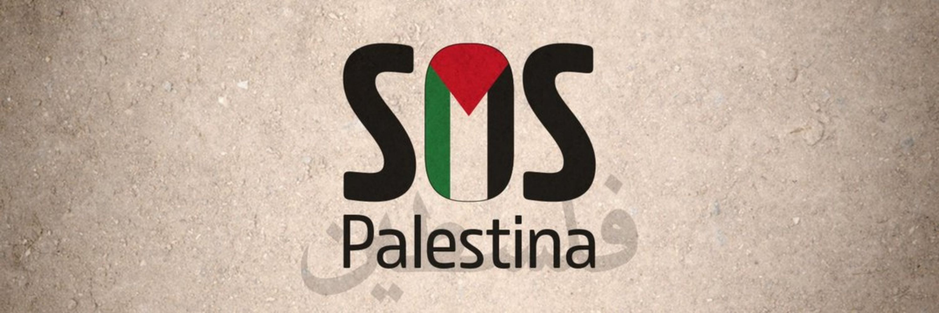 DoriMG🔻🇵🇸