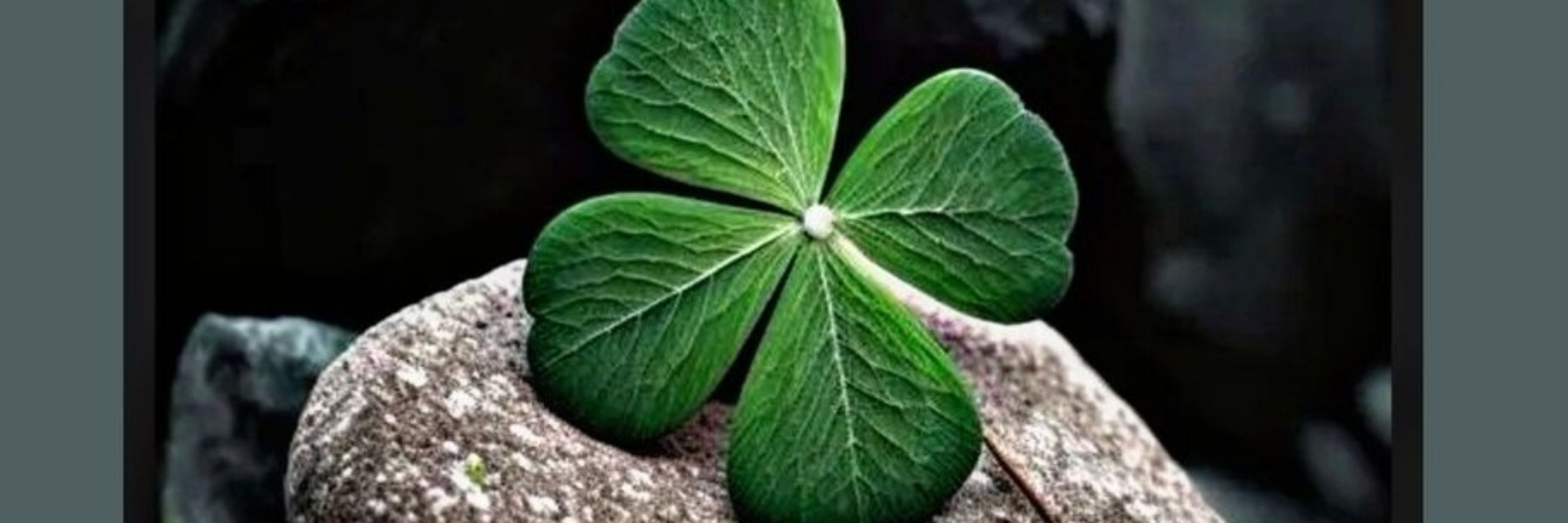 LCEUS-Long CoVID Euskal Herria Elkartea 🍀