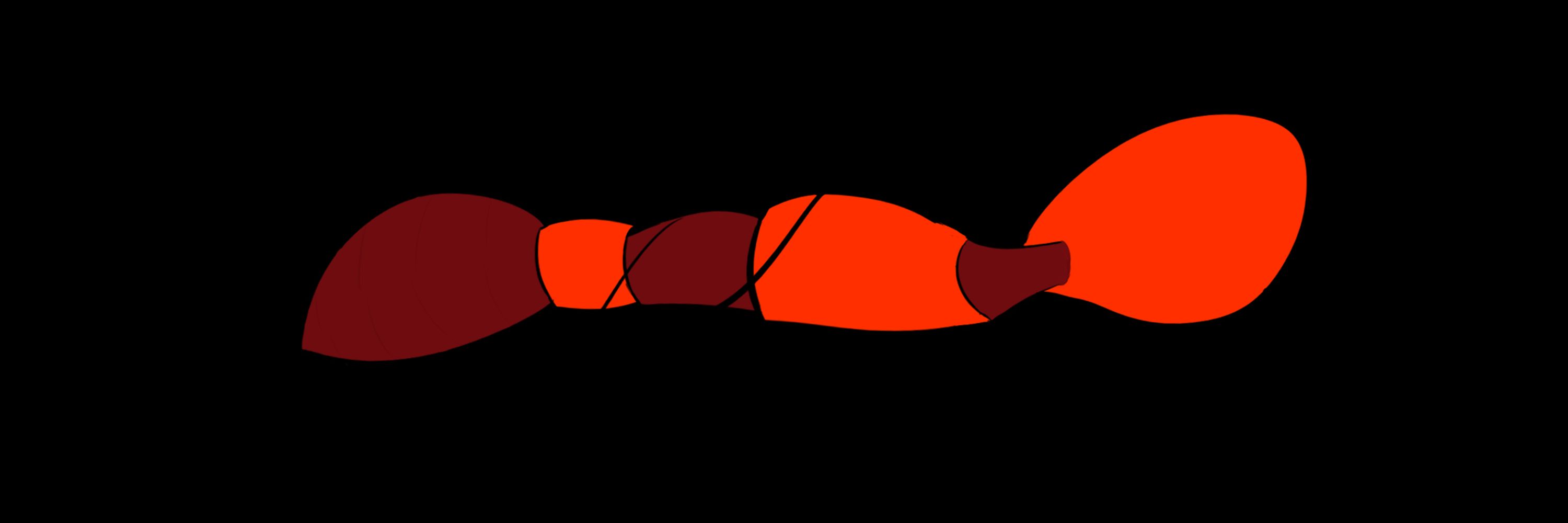 Ant Oni (will edit for money and/or food)