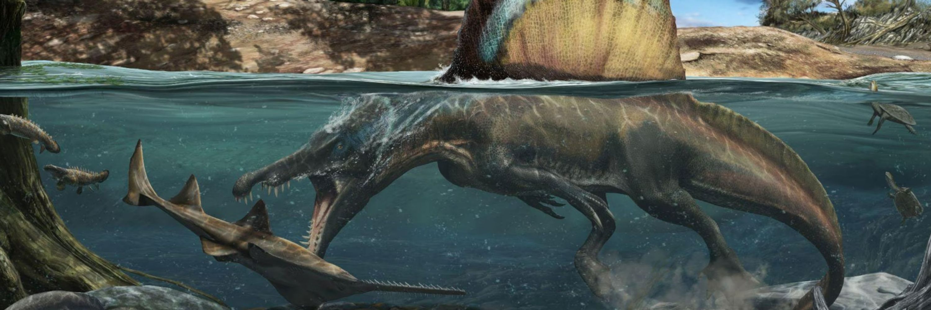 Calder-O-Saurus rex