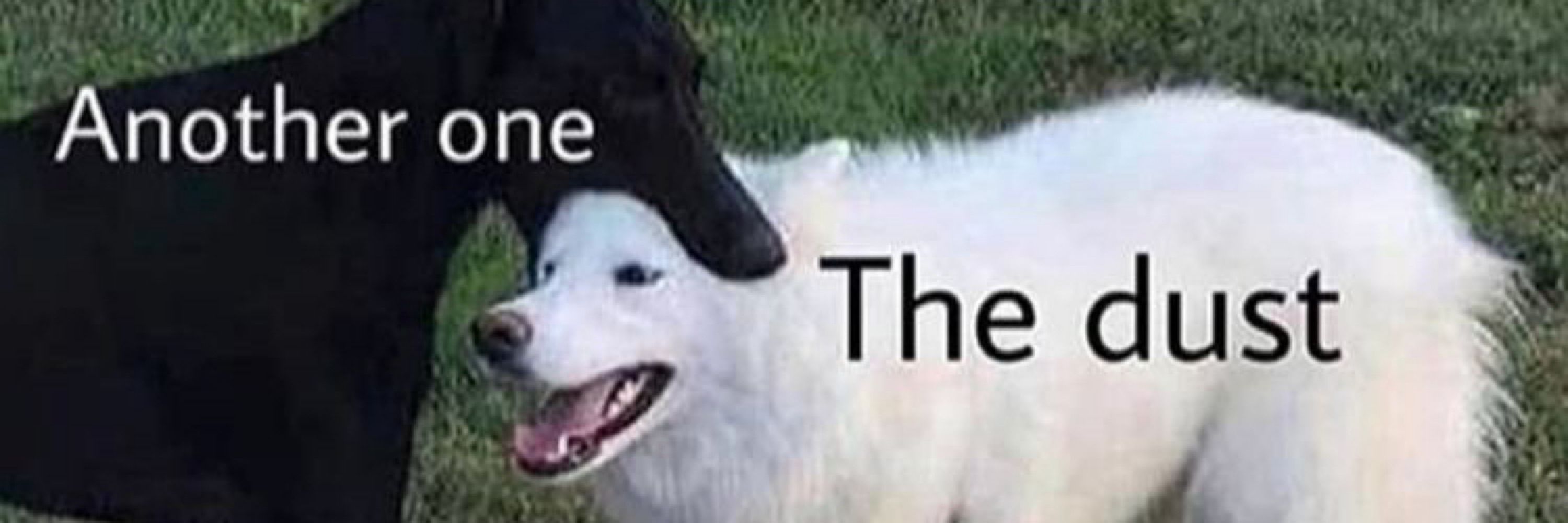 theminecoder