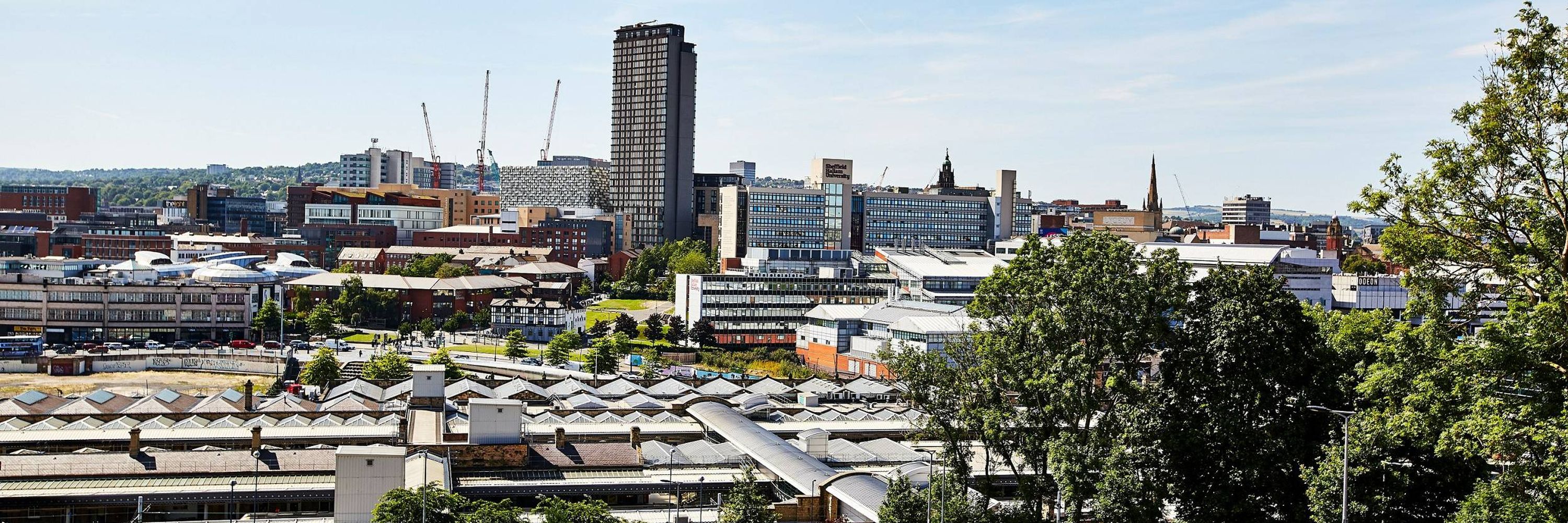 Sheffield Hallam University