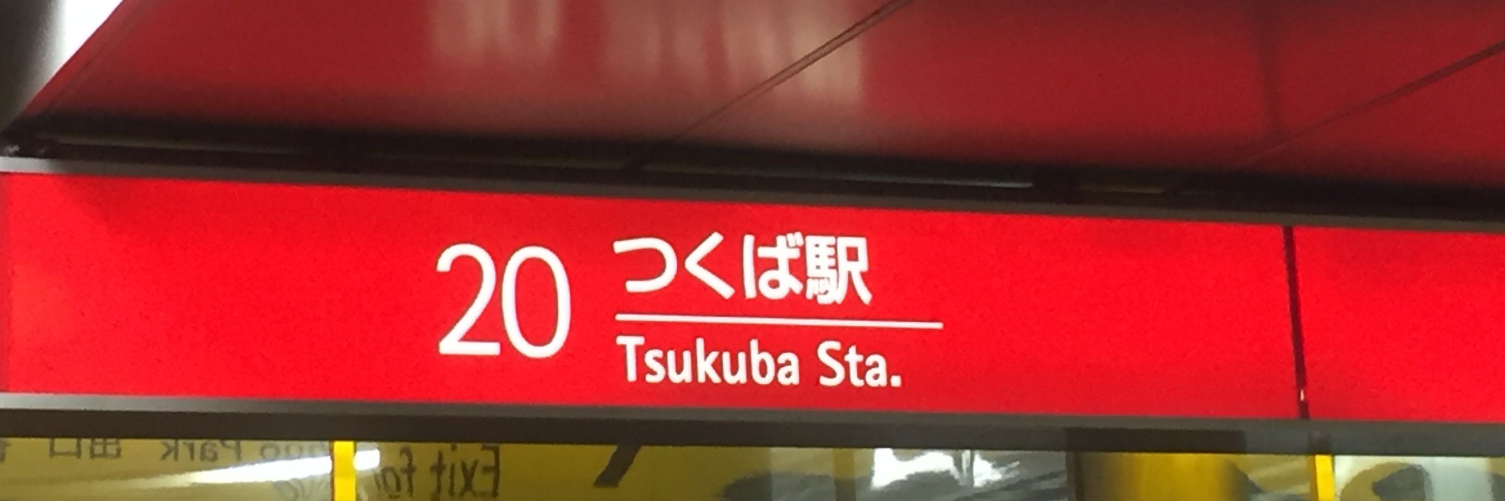 にわとん
