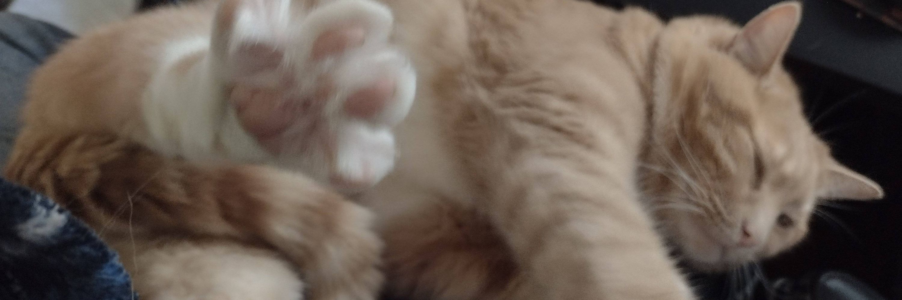 Tribble Wrangler