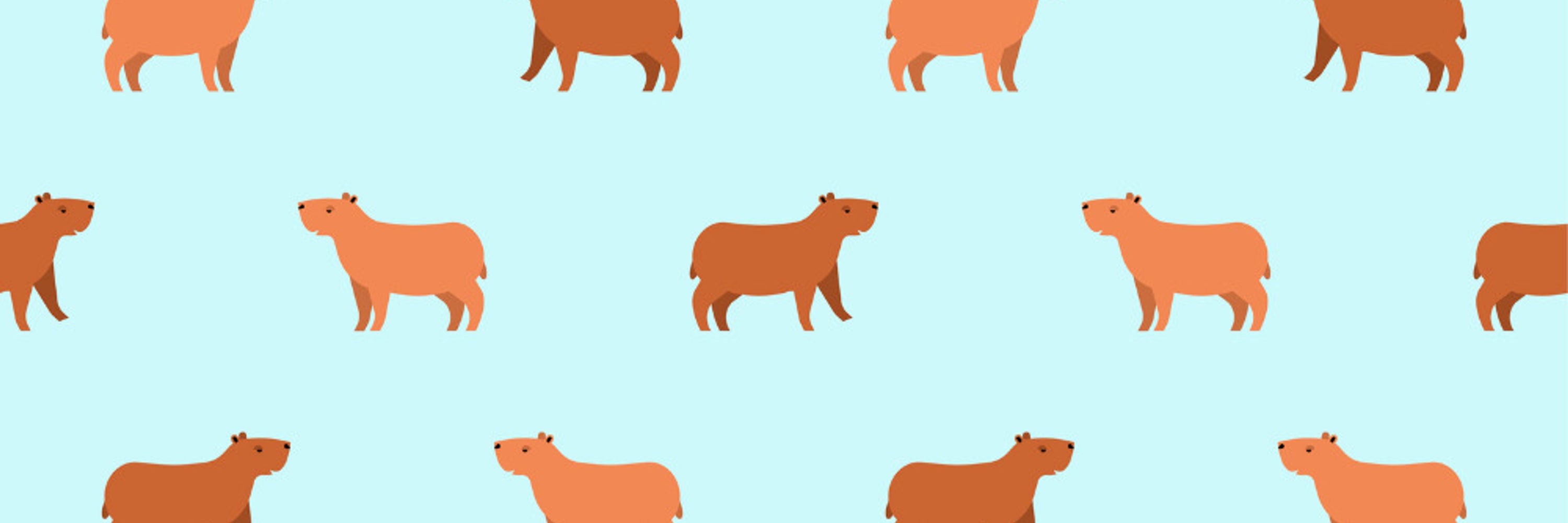 Capivara de Japona 🏳️‍🌈 🇨🇦🇧🇷 