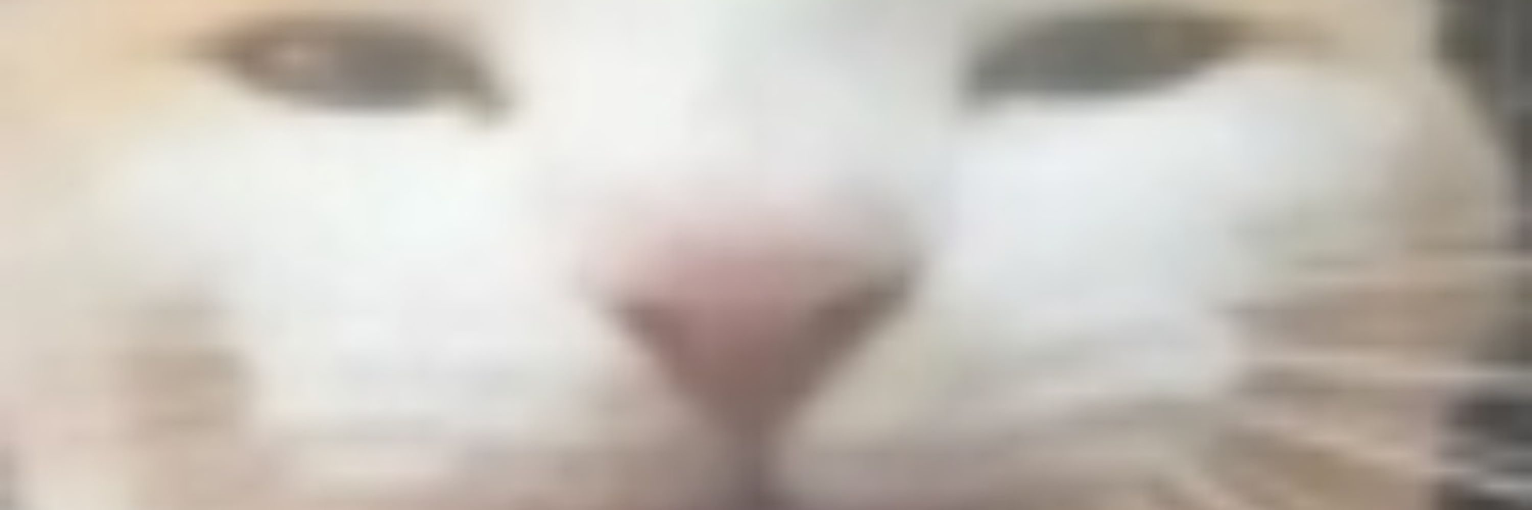 Seven