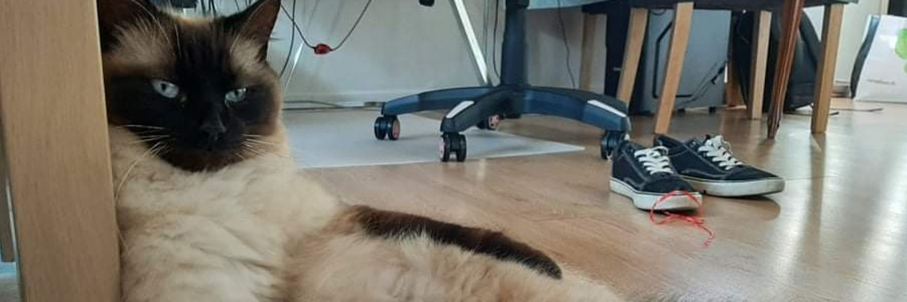 titoune