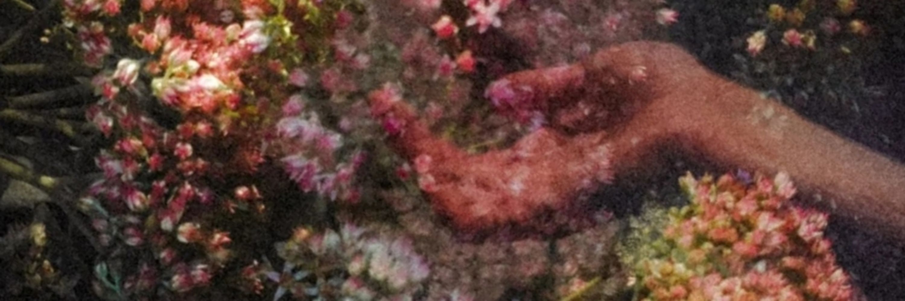Fleur Elman