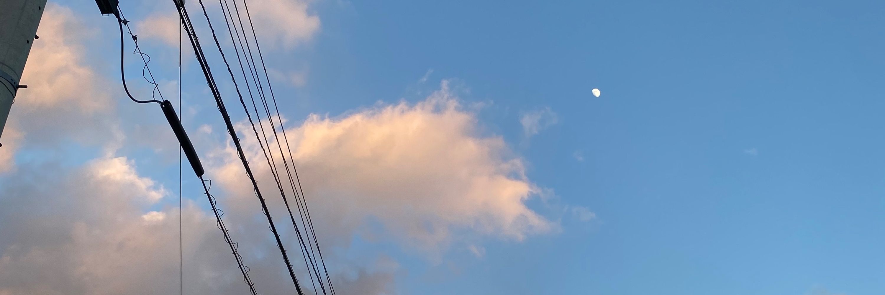 みめい