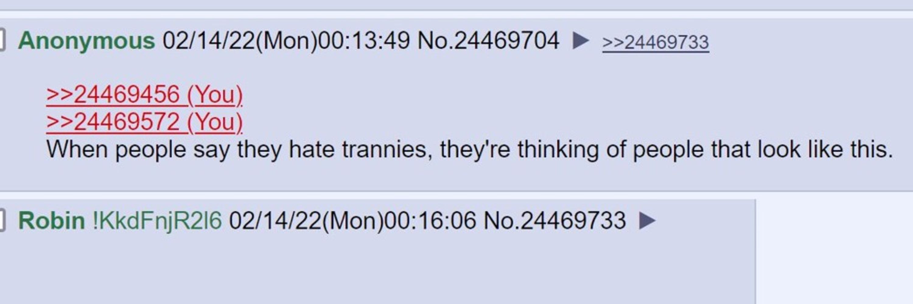 Transexual Mi-Mania
