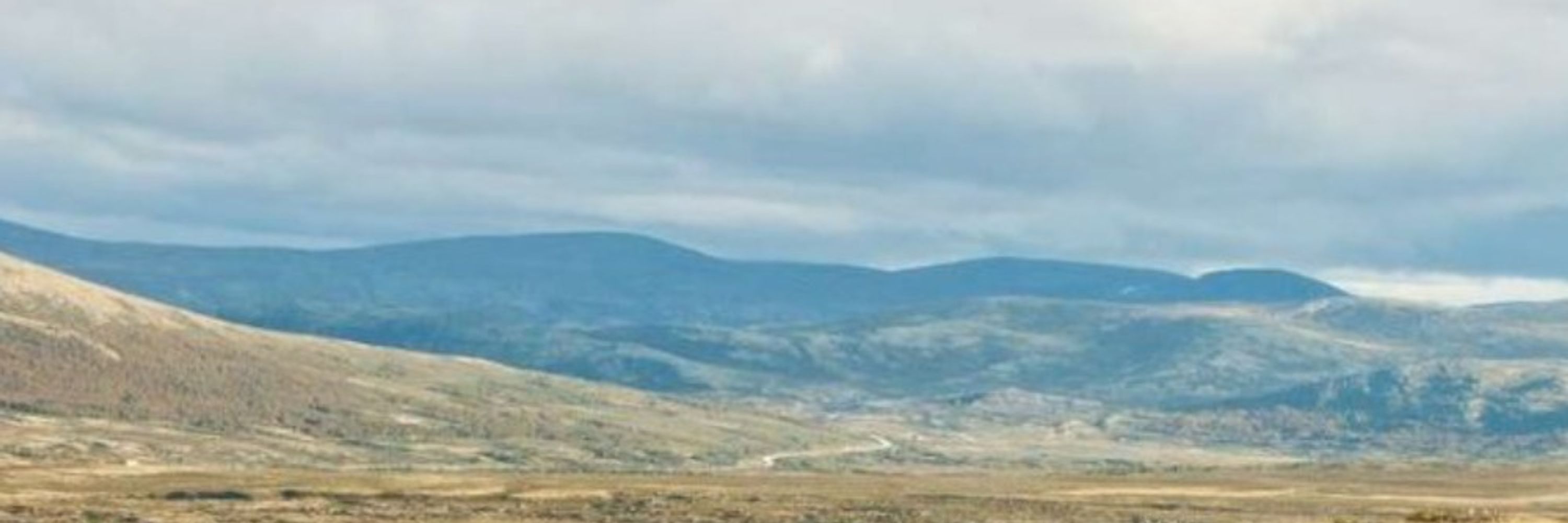 LBaraGuin