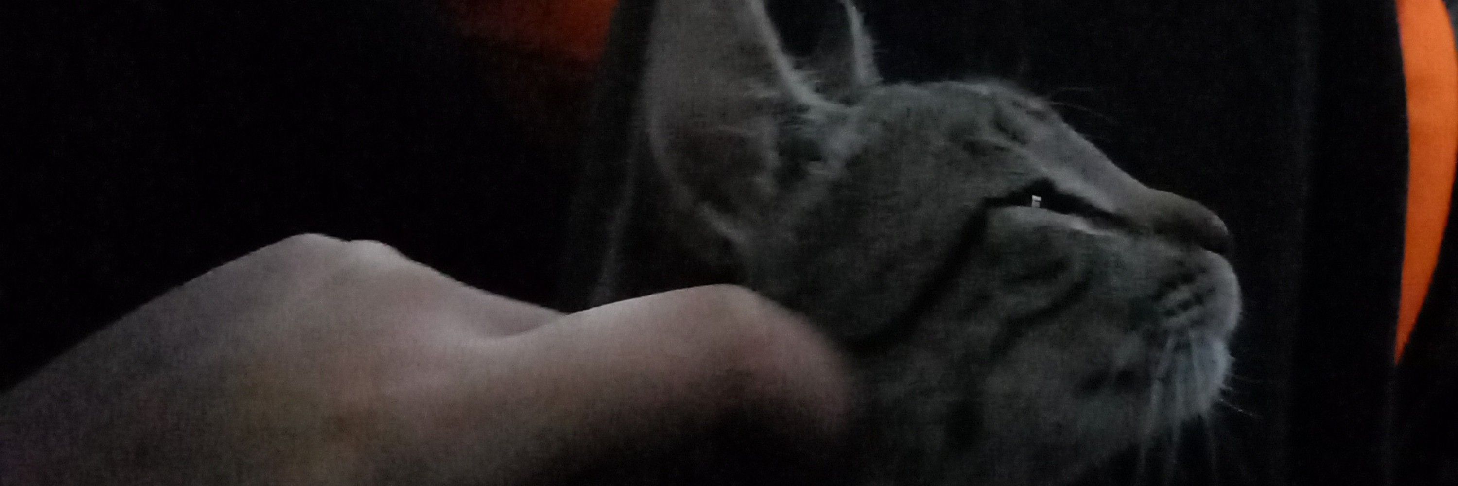 GIH