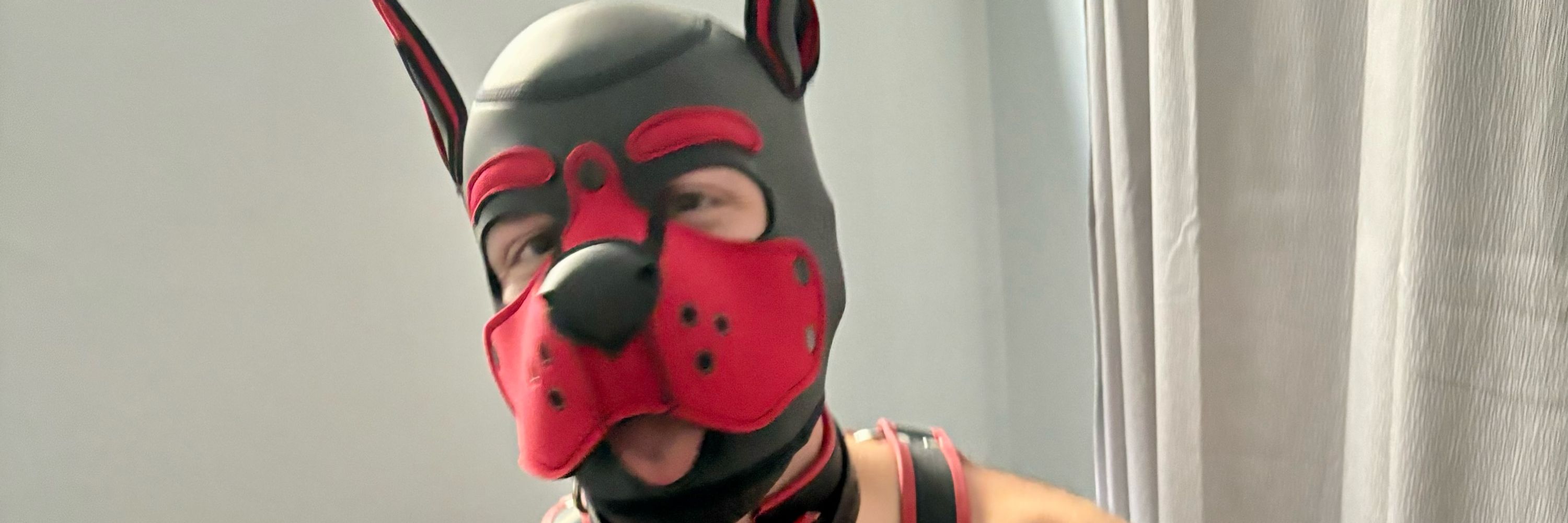 Pup bites 🐾