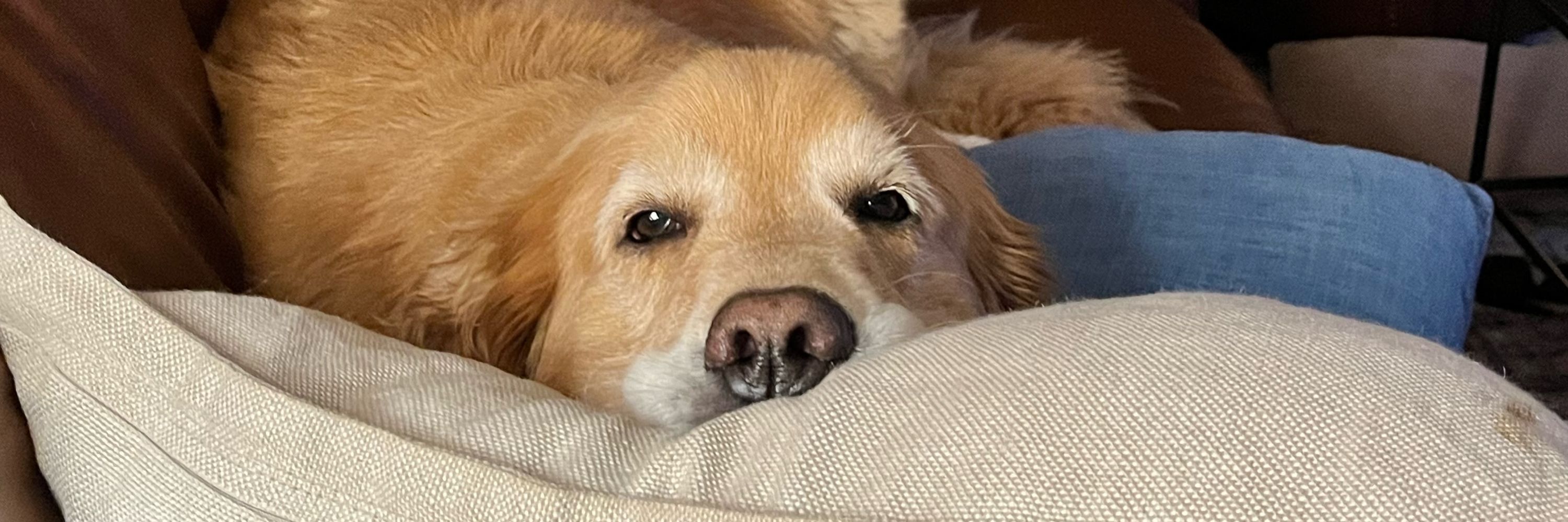Ben