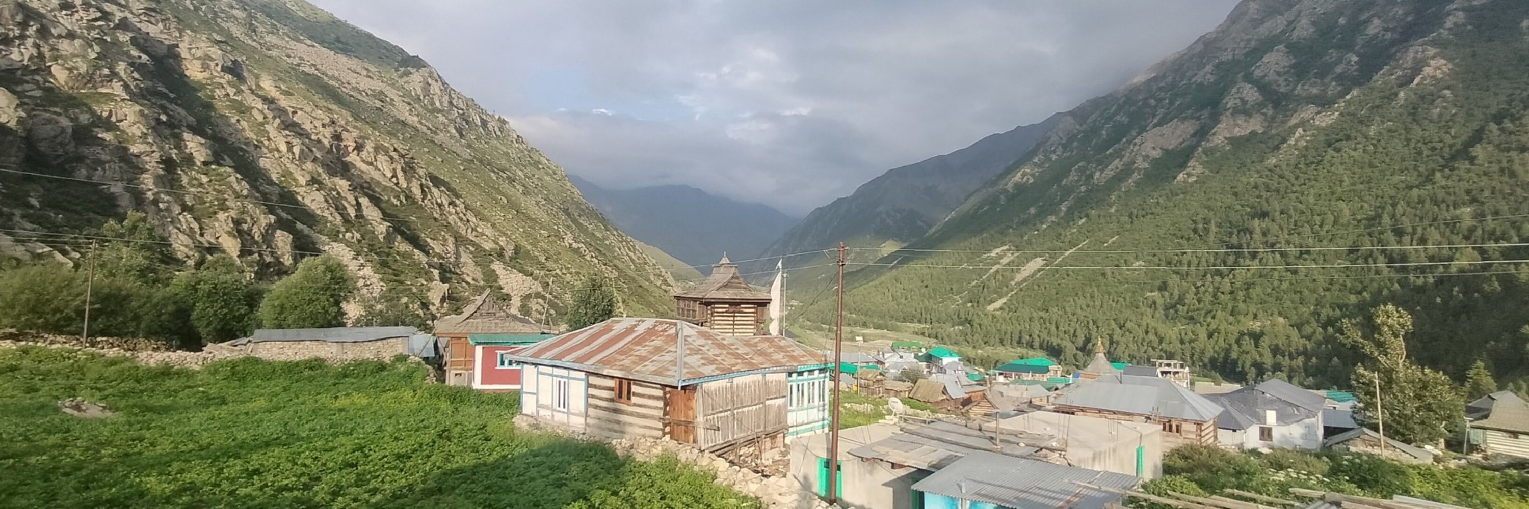 Aman Kant Panta