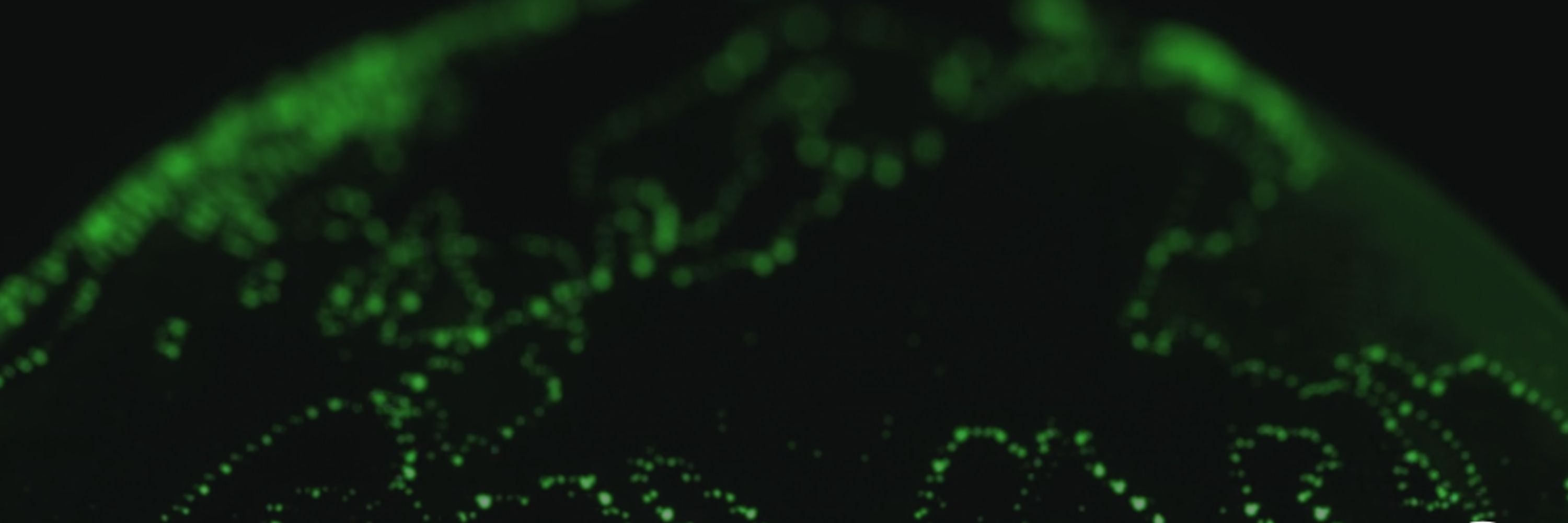 Targeted protein degradation community