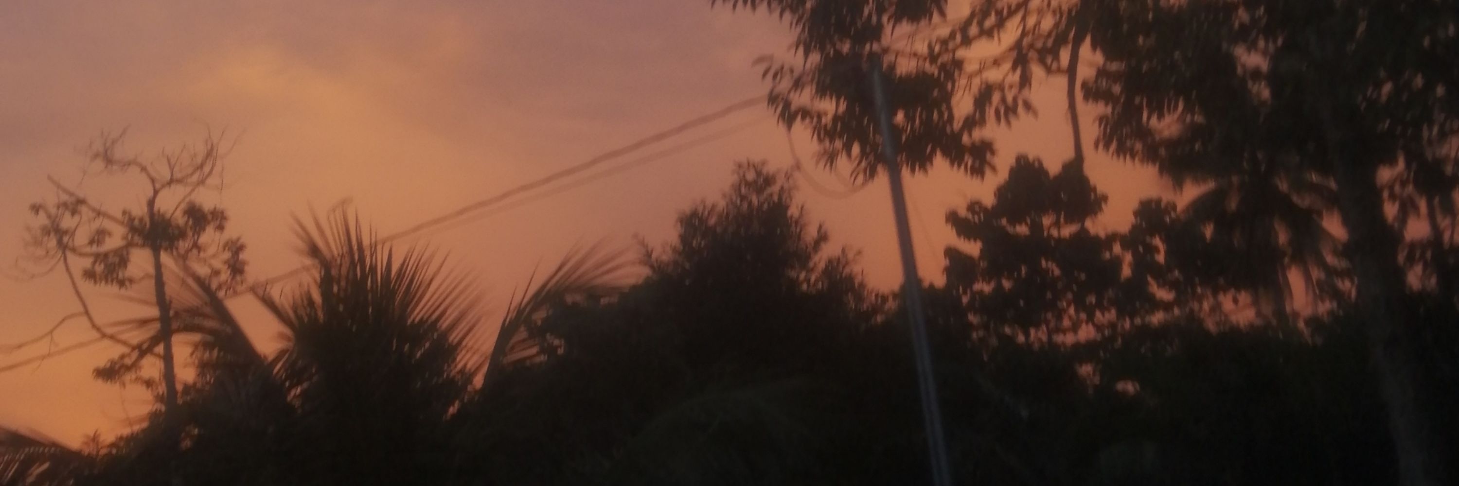 Malacca, baka, skibidi Caca