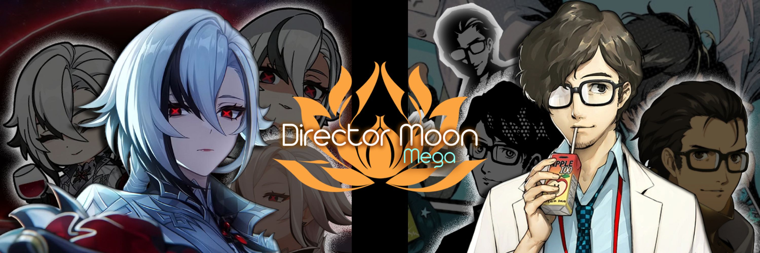 Director Mega