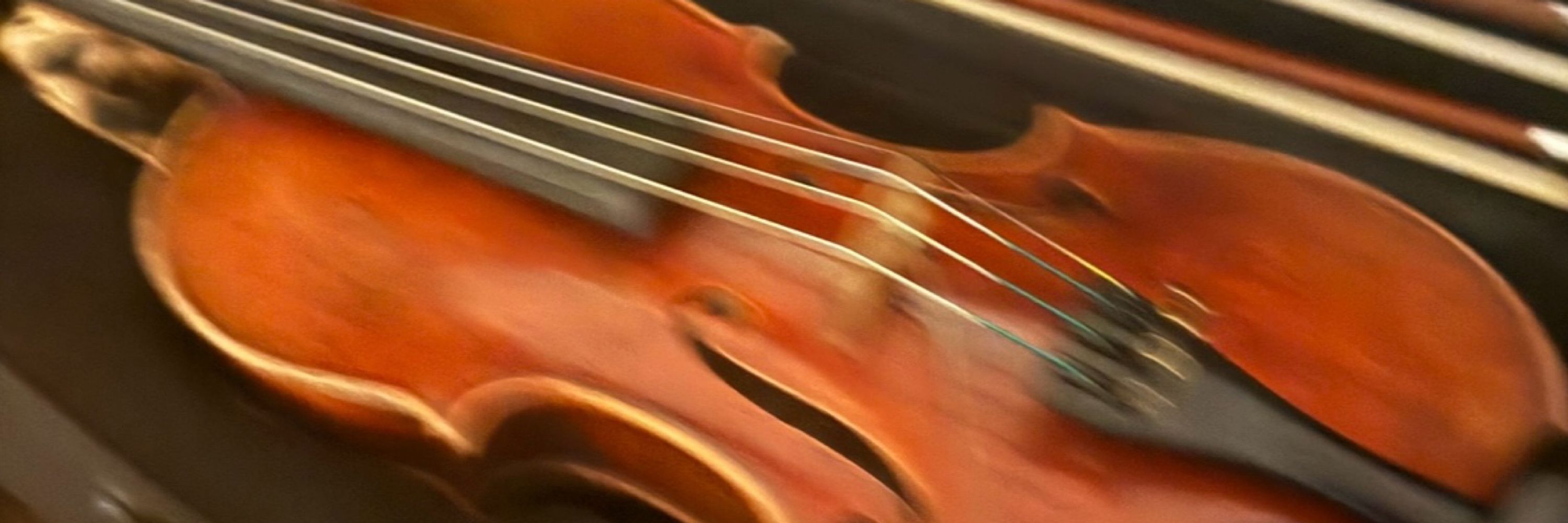 Nora Germain 🎻