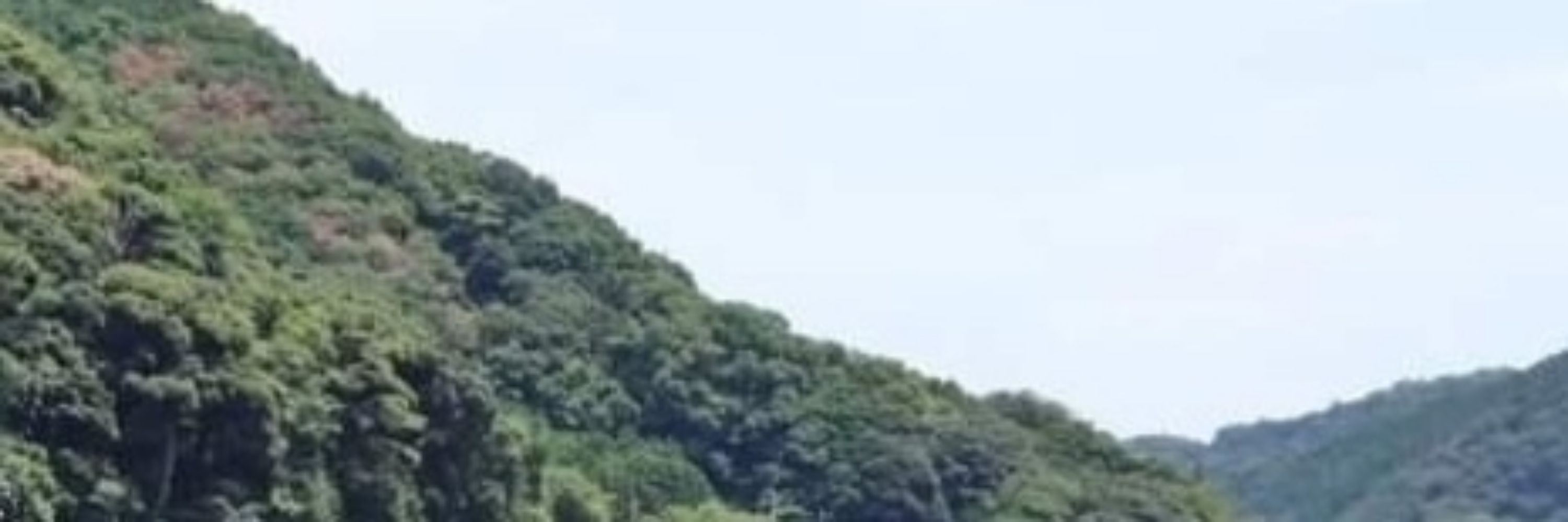 kukbo