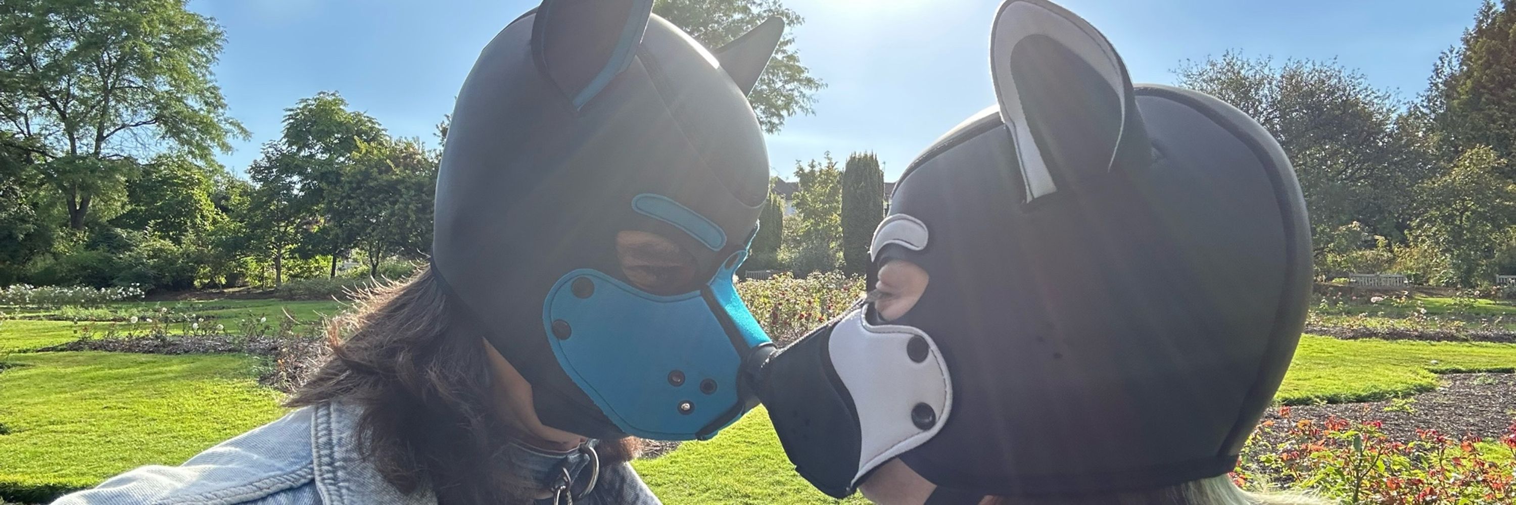 Pup Rayne AD