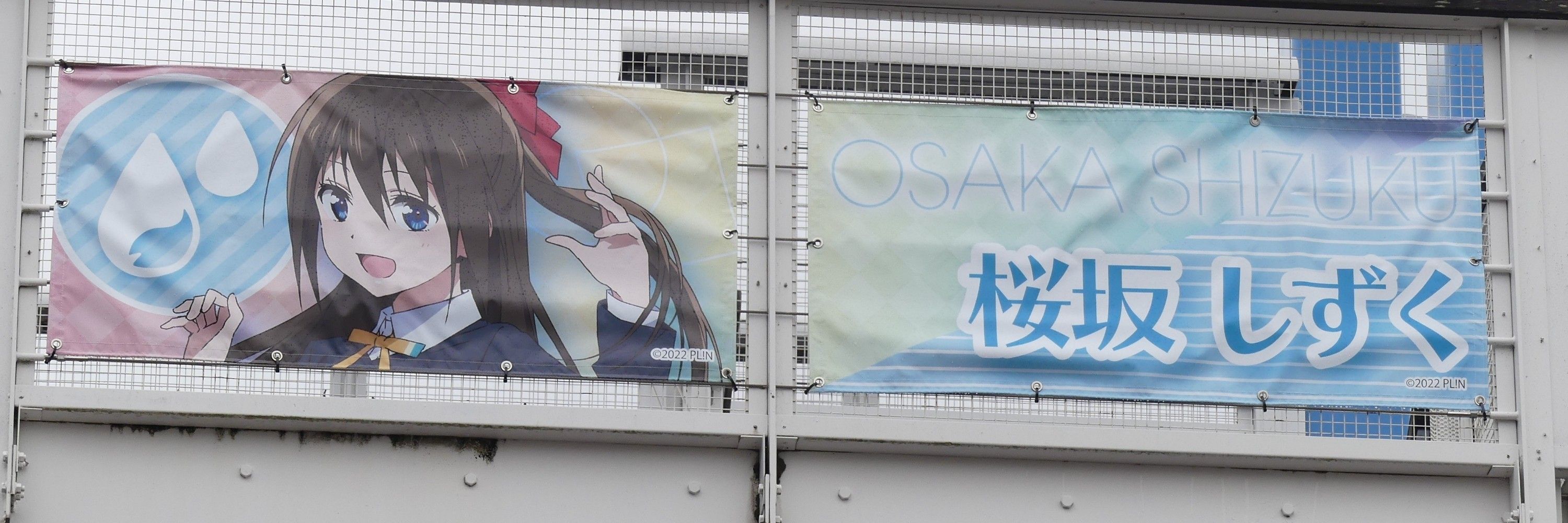 桜坂腐民ツッチー