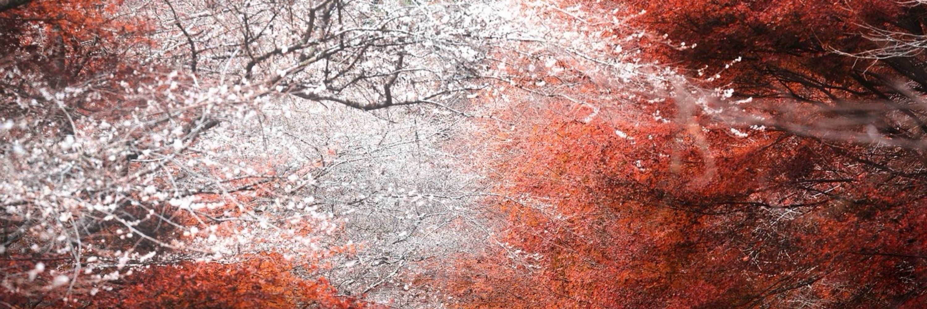 風鈴🎐