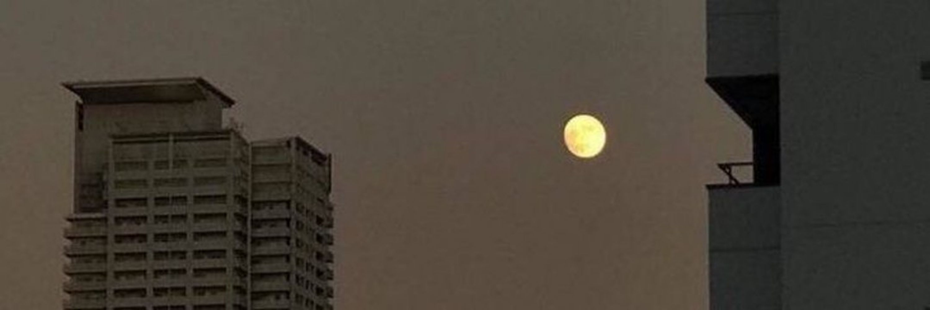 전정국