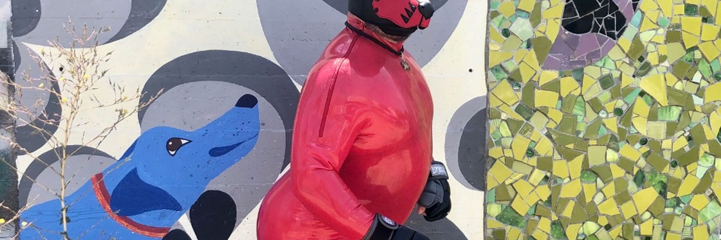 Pup Wolfe