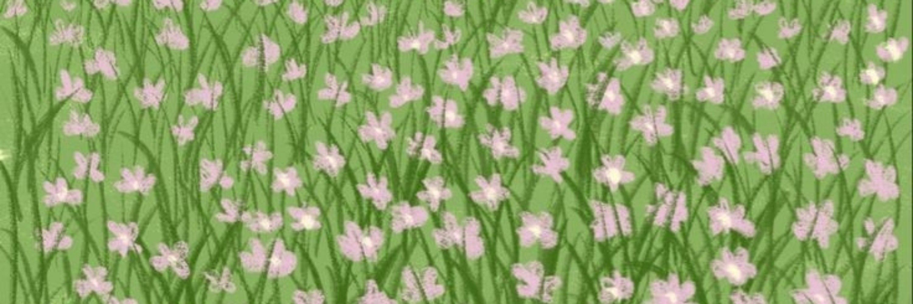 𝓓io