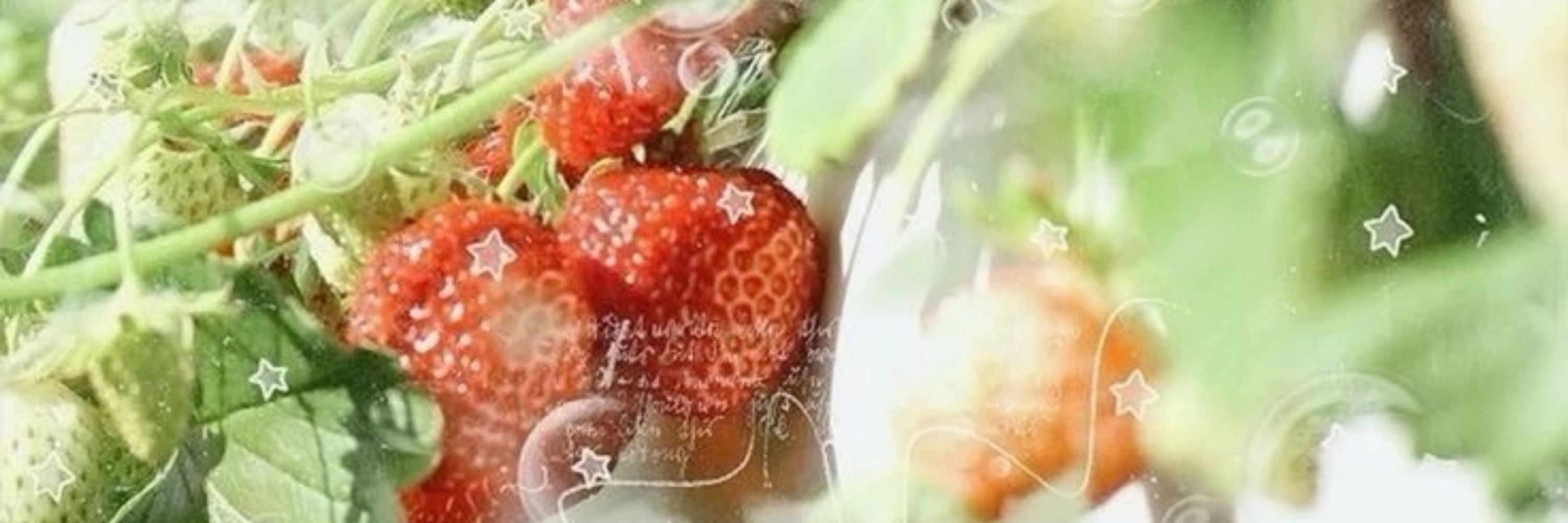 DF 🍓