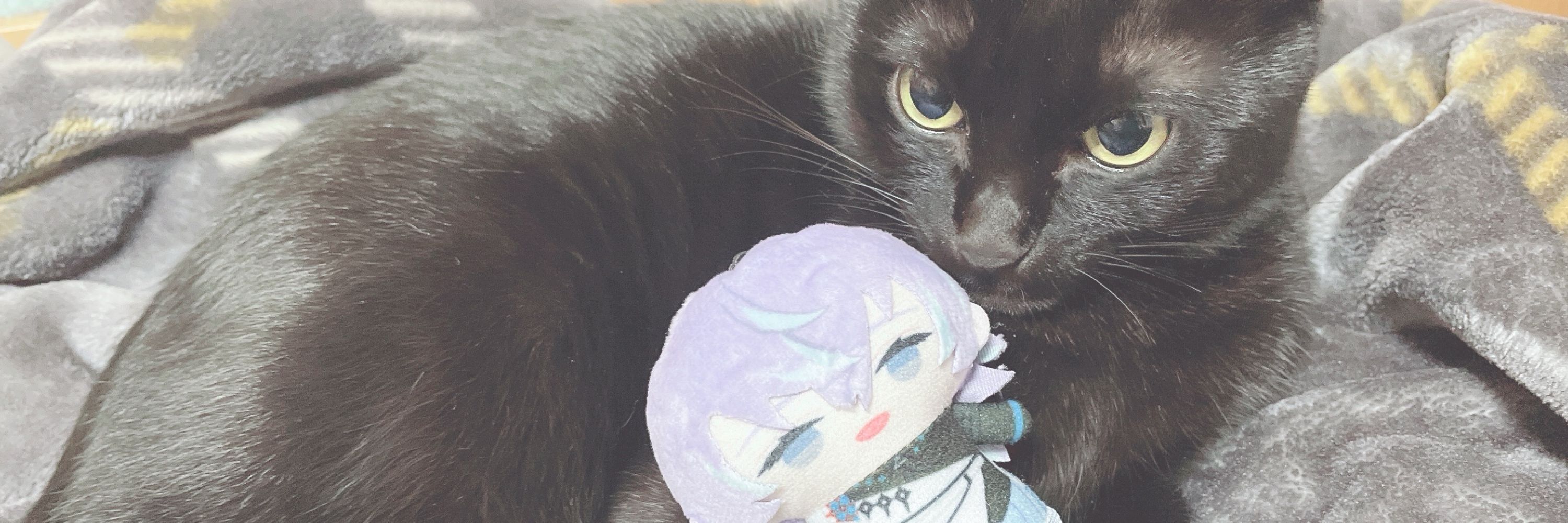 🦩じゃこ🦩