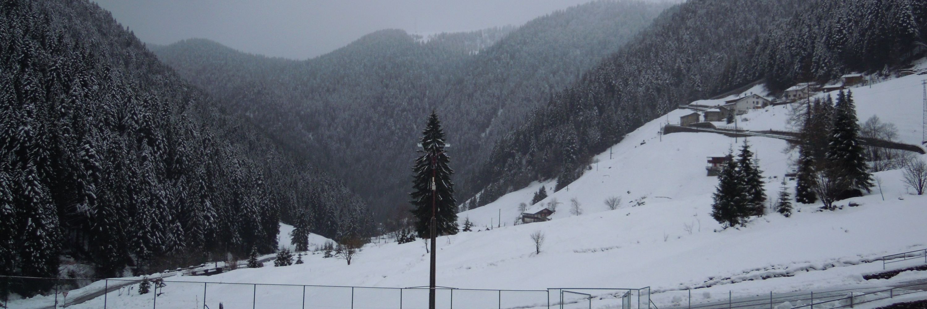 Winter Workshop on Complex Systems