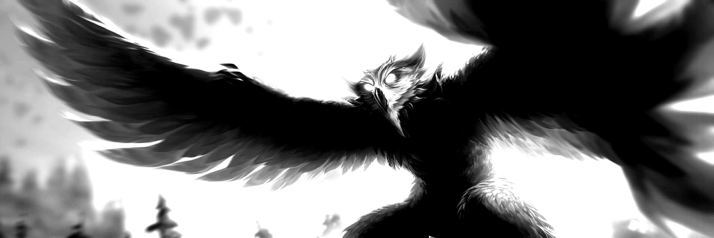 ＨＯＲＲＯＲＣＬＡＷ　