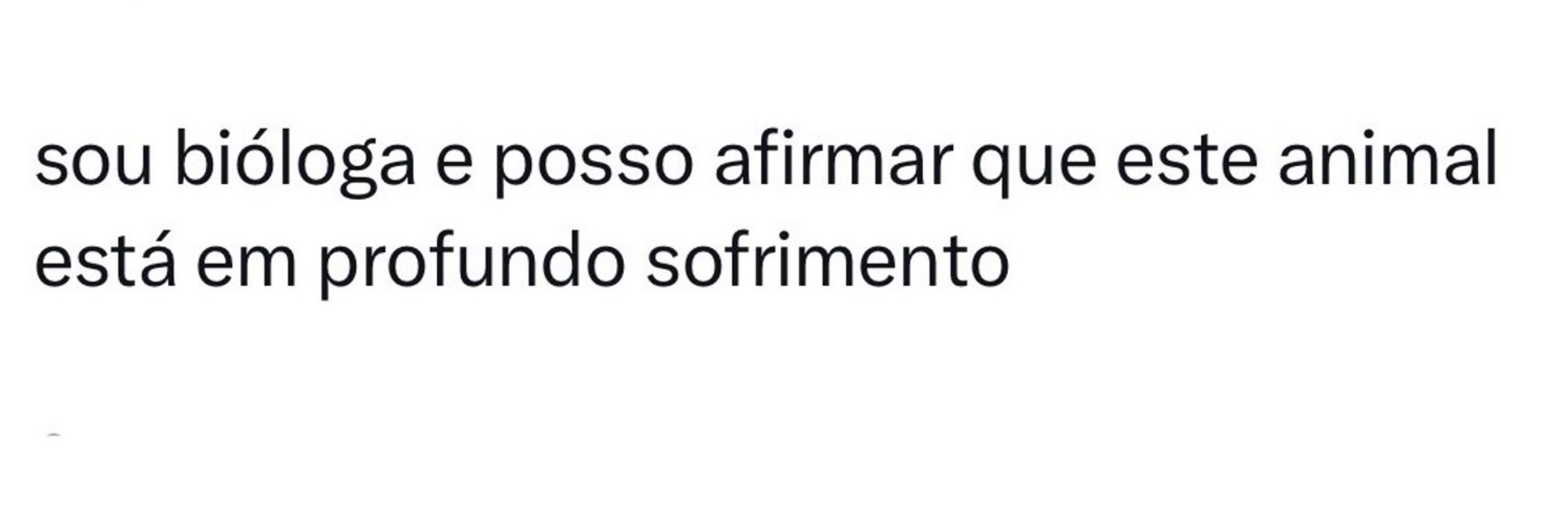 Isa 🍯