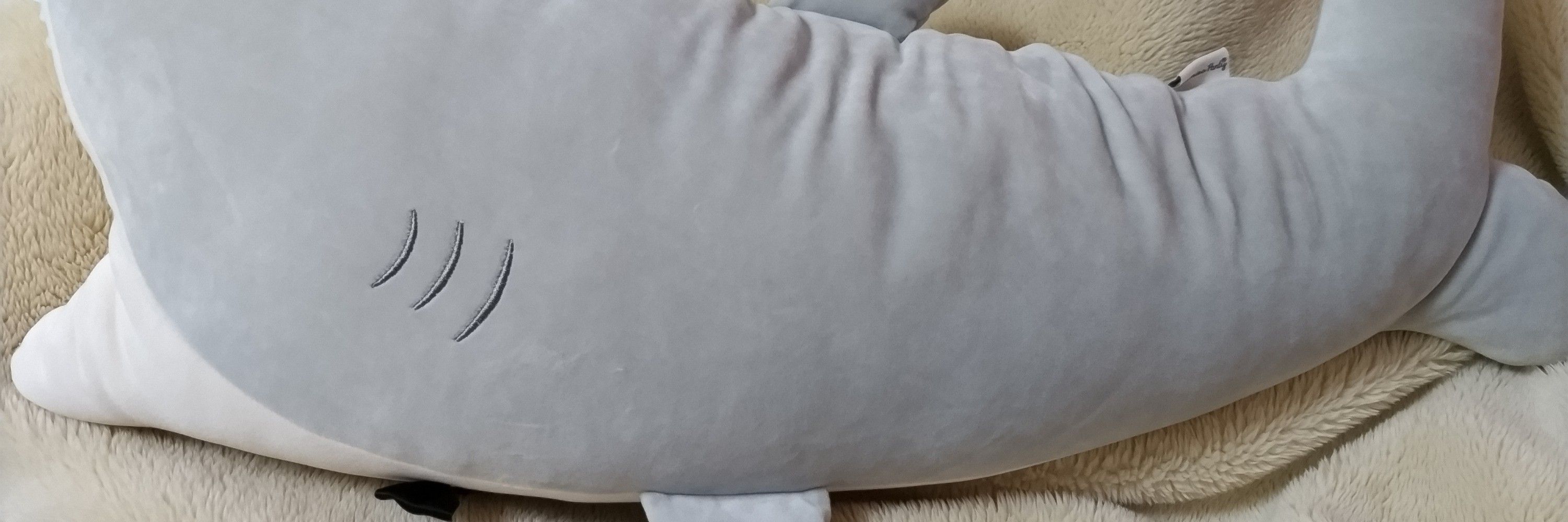 しおたしお